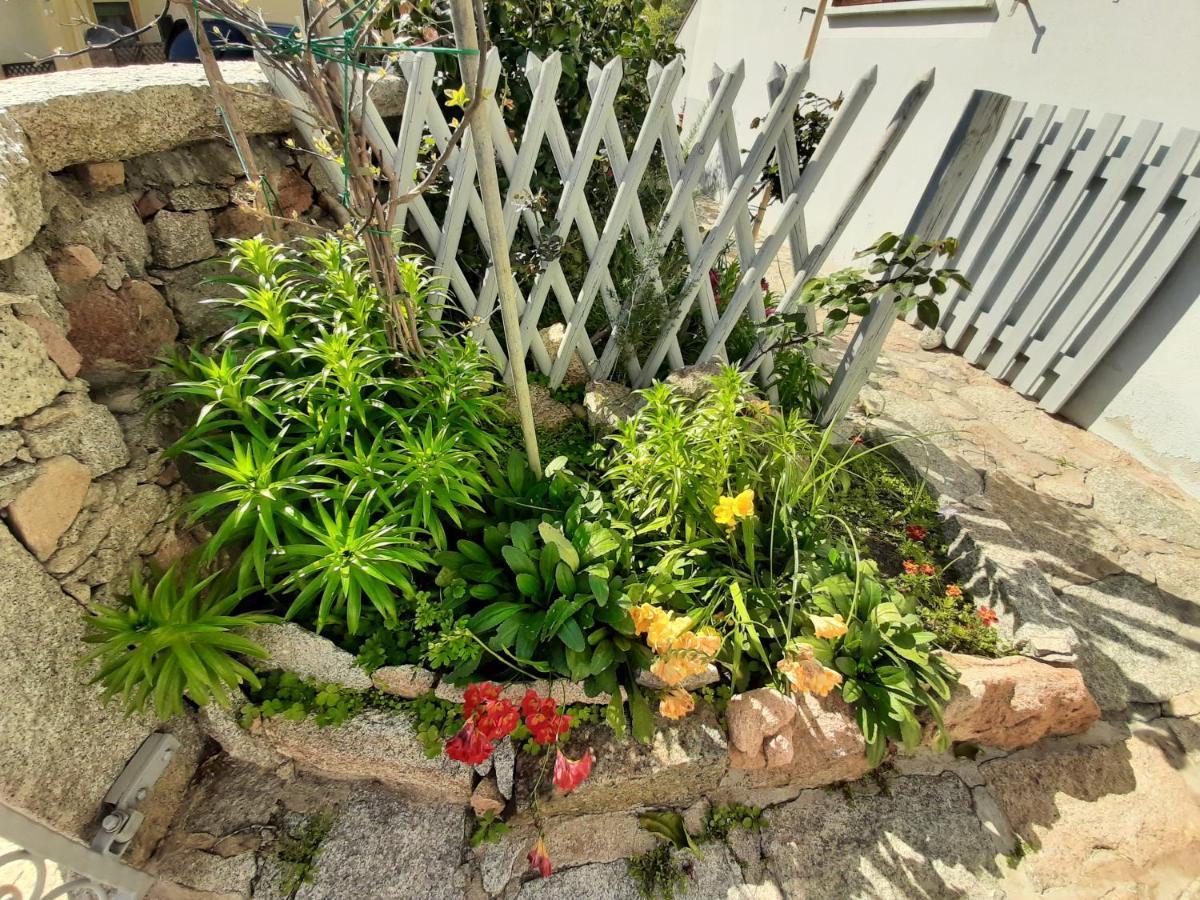 I Giardini Di Carmen Lejlighed La Maddalena  Eksteriør billede